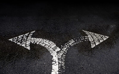 How to Manage Your ESG Program During Political Uncertainty and Potential Backlash