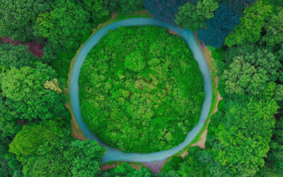 ESG Matters are Now Considered Material Risks