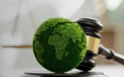How the US SEC’s New Climate Disclosure Ruling Affects You